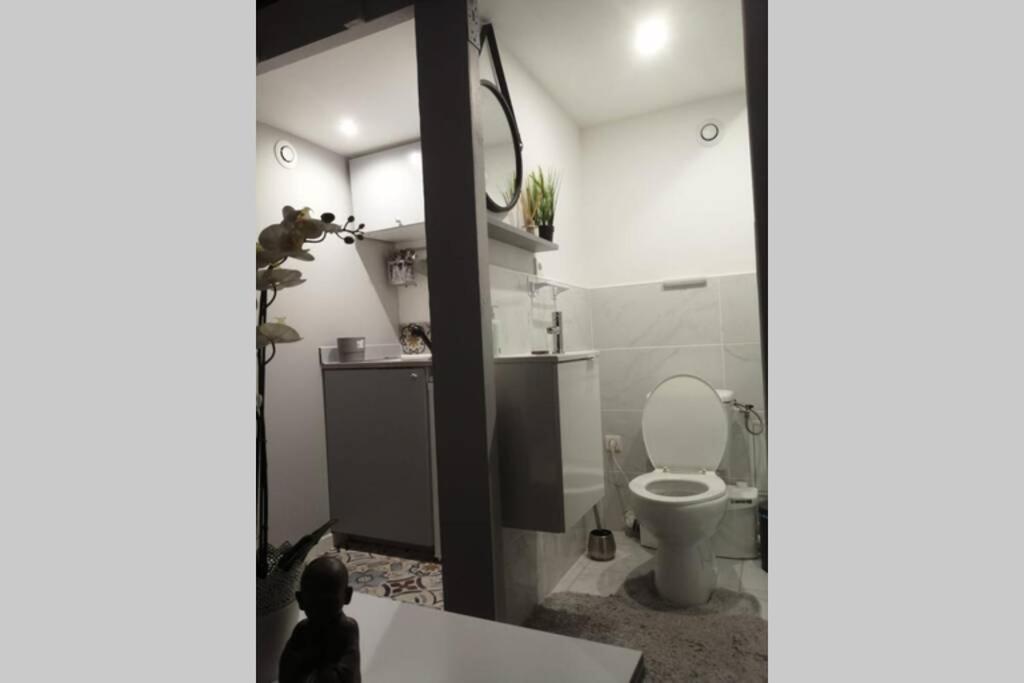 Studio Cosy Apartment Avignon Exterior photo